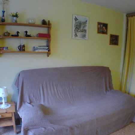 Studio Cosy Au Centre De Samoens Avec Parking Privatif - Fr-1-629-118 Εξωτερικό φωτογραφία